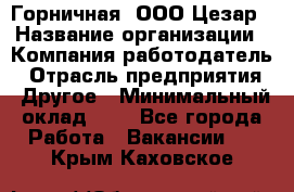 Горничная. ООО Цезар › Название организации ­ Компания-работодатель › Отрасль предприятия ­ Другое › Минимальный оклад ­ 1 - Все города Работа » Вакансии   . Крым,Каховское